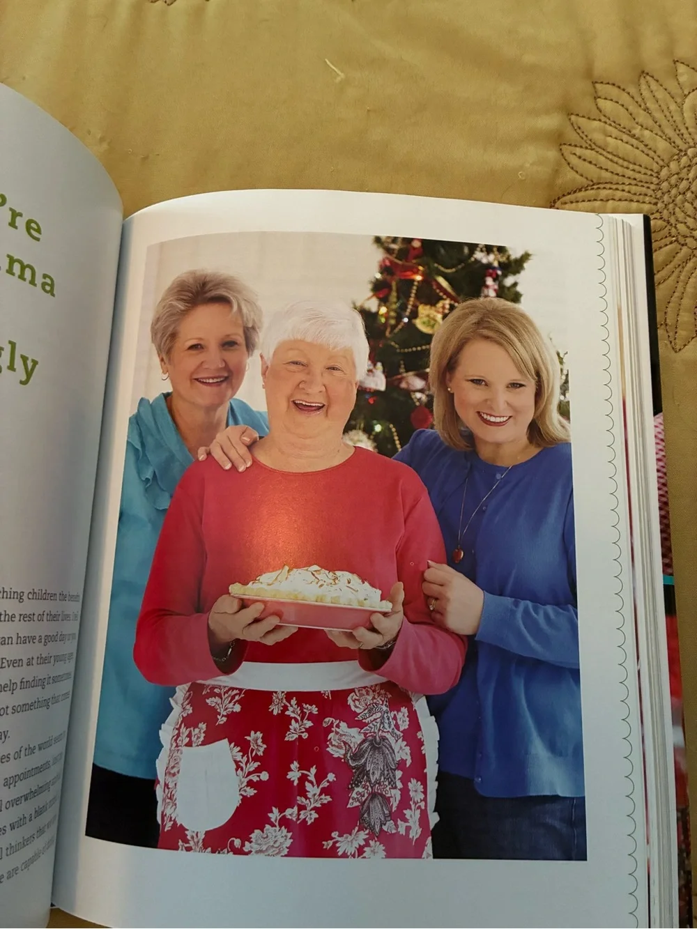 Southern Plate Cookbook - Christy Jordan